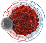 5th Annual Cell Therapy Analytical Development Summit logo ICON