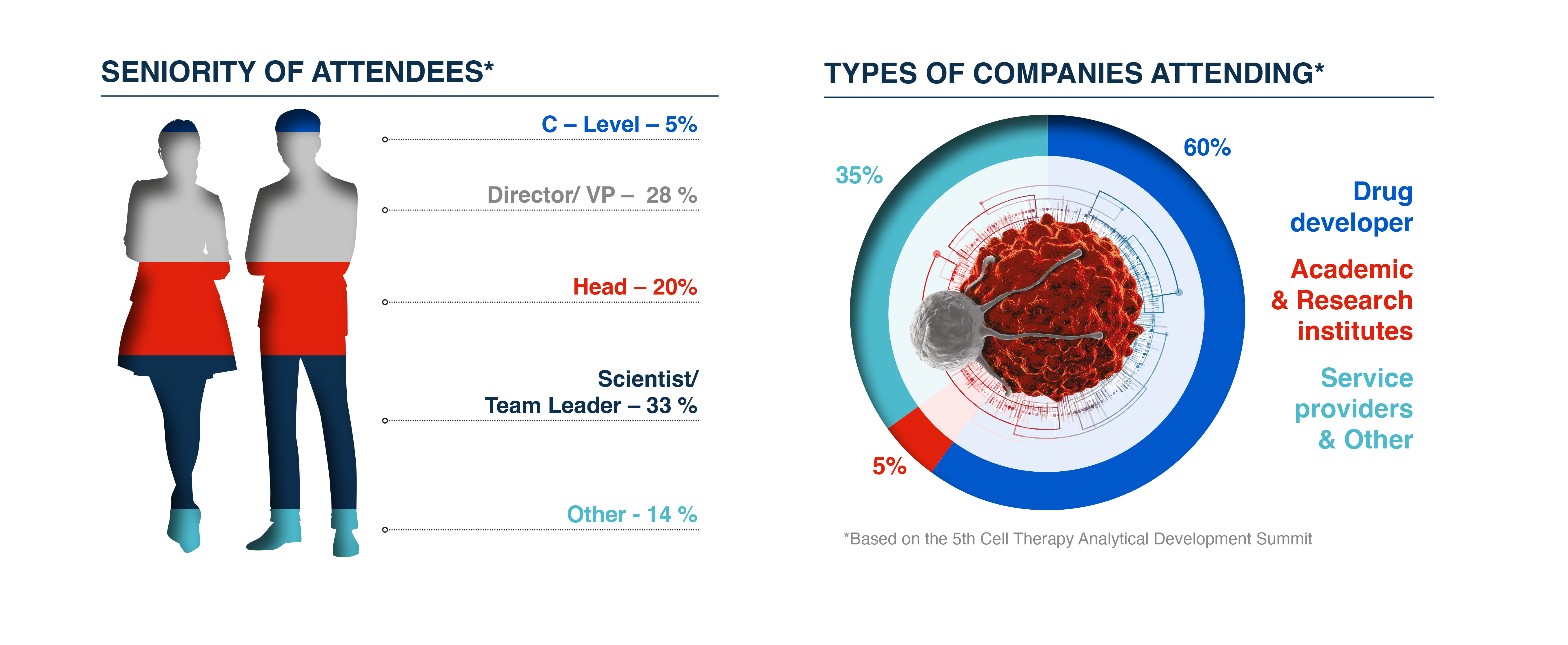 Cell Therapy Analytical Development